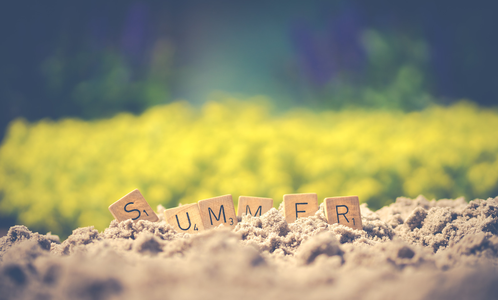 Canva - Summer Letter Cube on Soil (1)
